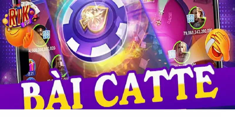 Giới thiệu chi tiết về Catte online là gì? 