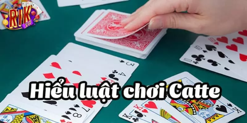 Có cần dùng chiến thuật khi chơi Bài Catte online không?